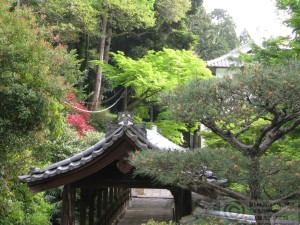 Tofukji outer garden