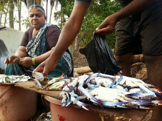 Fish vendors in Chapora village