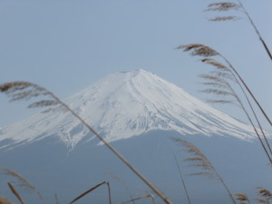 Beautiful Mt Fuji