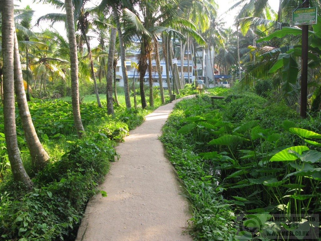 green pathways of Kovalam