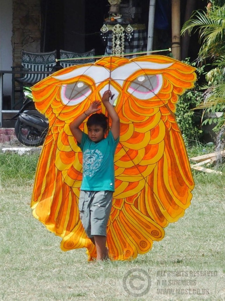 Kites are a big thing in Bali. 