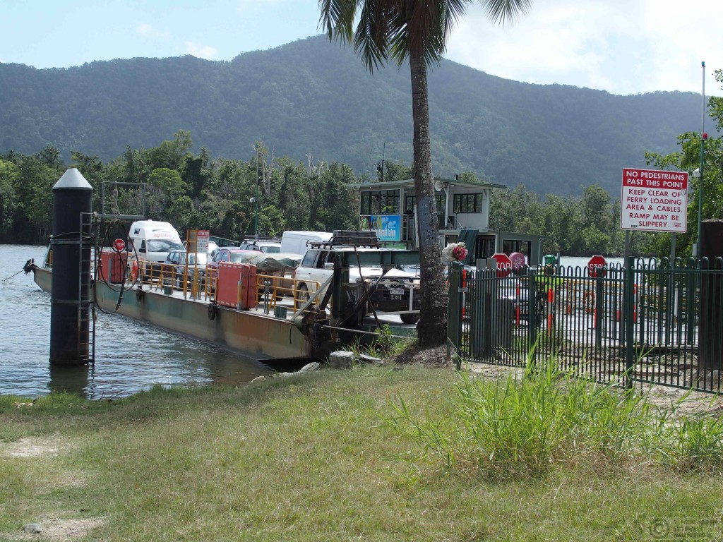 The Daintree ferry