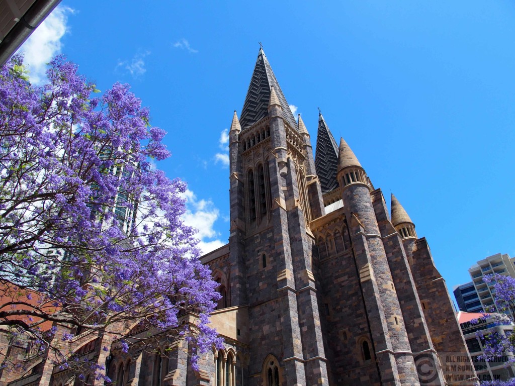 Brisbane Cathedral - with yet more jacaranda