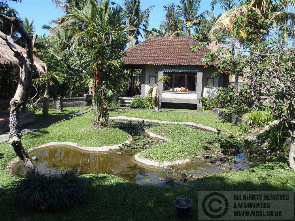 Idyllic but vulnerable - our cottage near Ubud in Bali