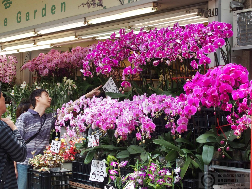 Flower Market, Kowloon