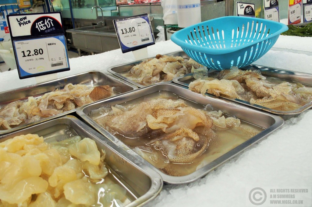 Unidentified seafood in the supermarket